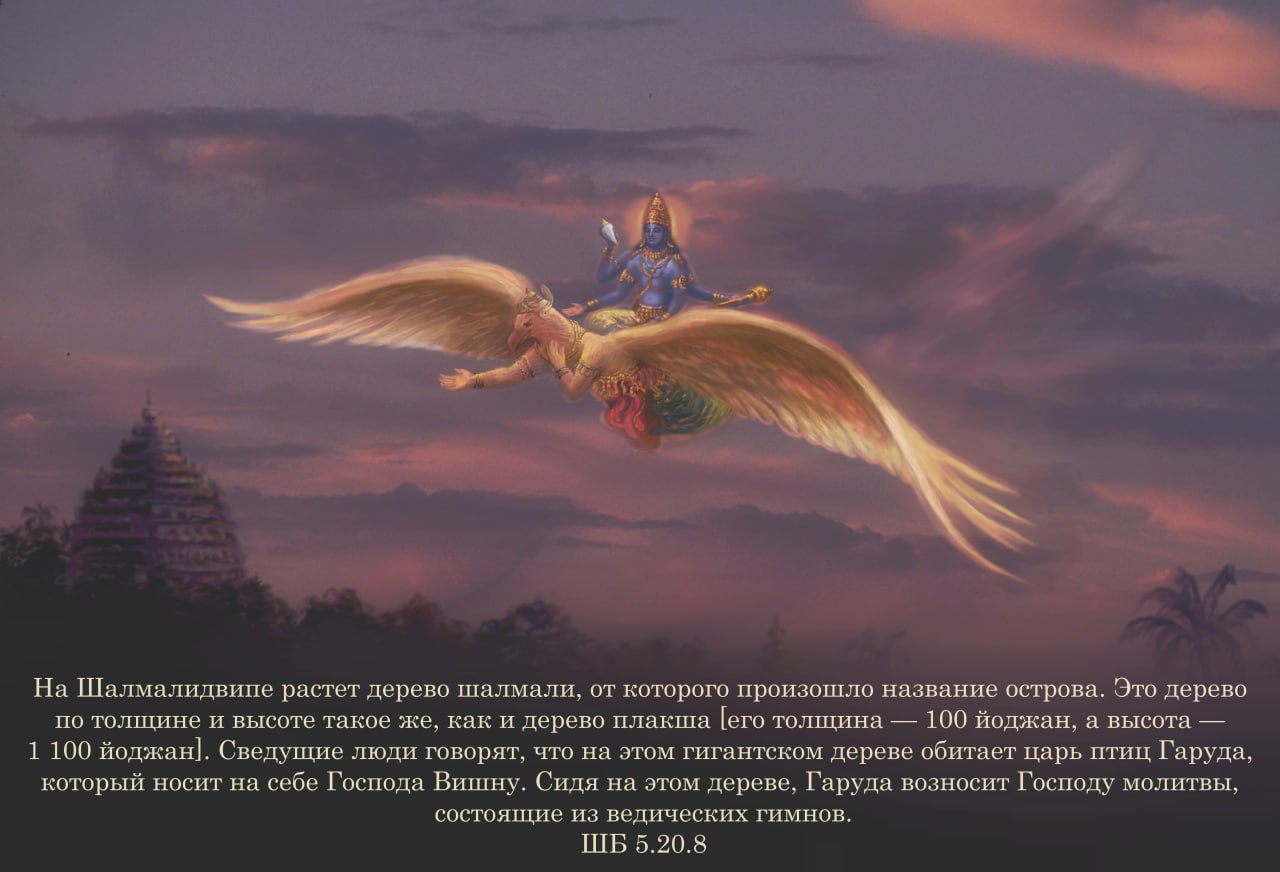 Шримад Бхагаватам 5.20.8