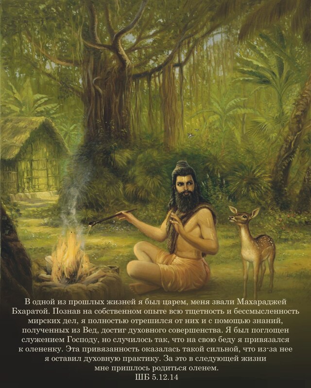 Шримад Бхагаватам 5.12.14
