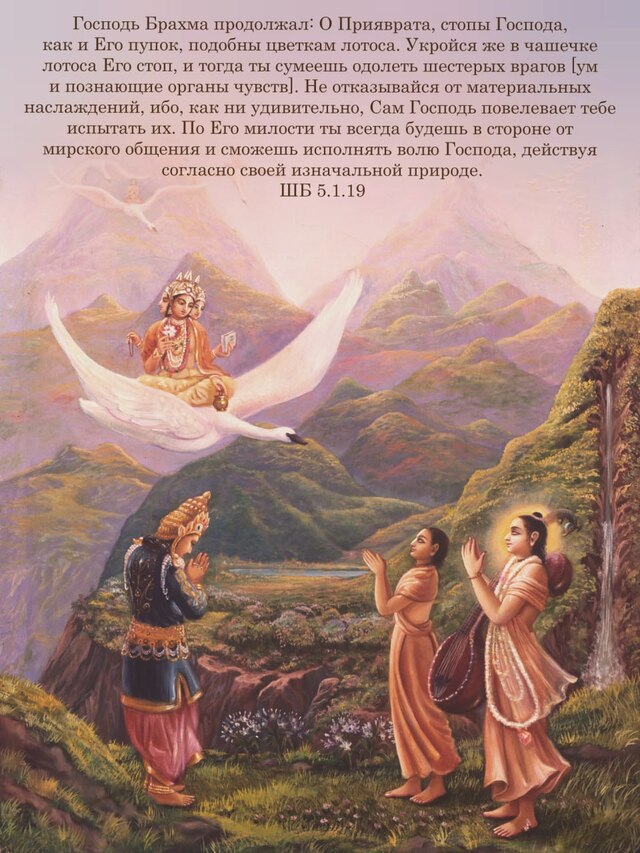 Шримад Бхагаватам 5.1.19