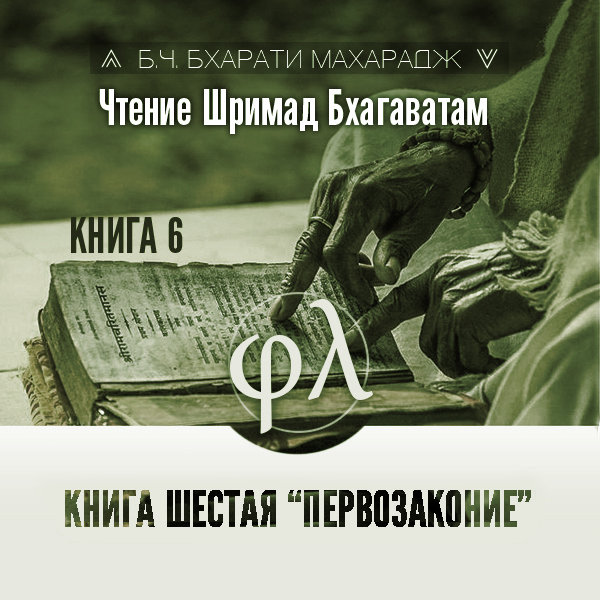 Александр Драгилев - Чтение Шримад-бхагаватам. Книга 6 «Первозаконие»