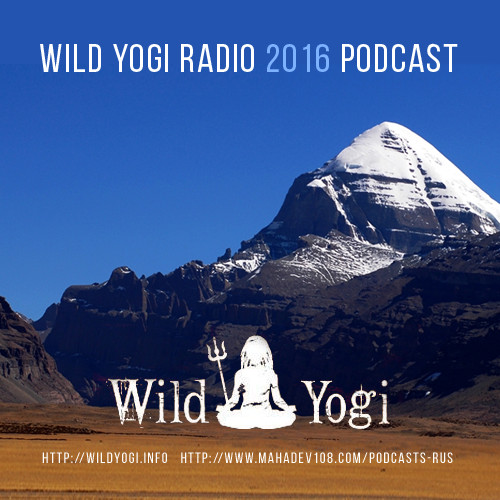Podkast wild yogi radio